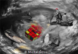 Stop killing sharks by Michal Štros 